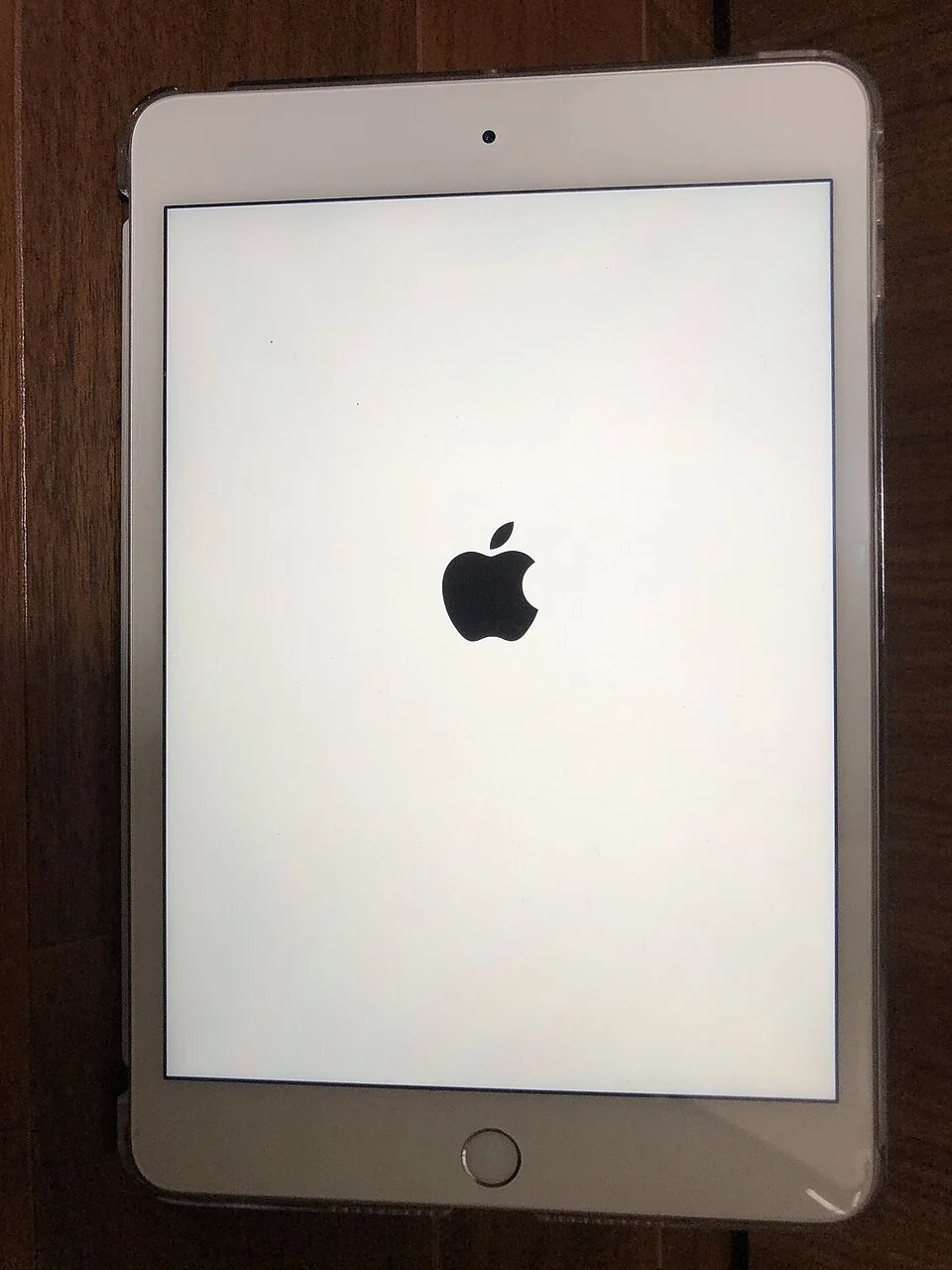 Apple iPad mini (5th Generation)