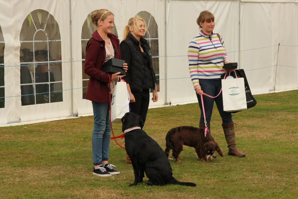 Best in Show