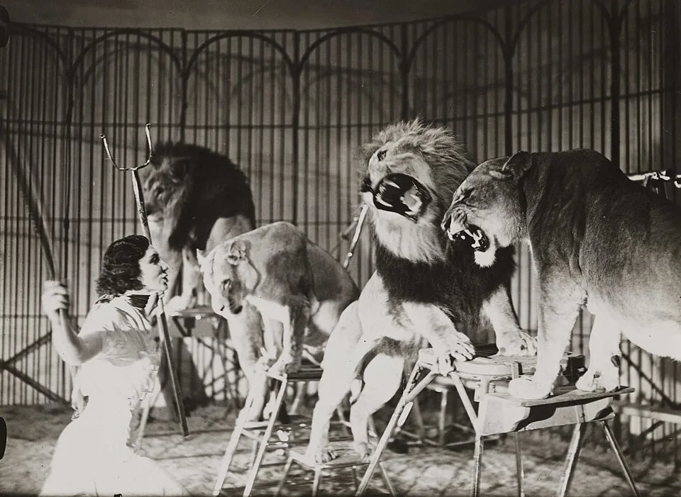 Bertram Mills Circus