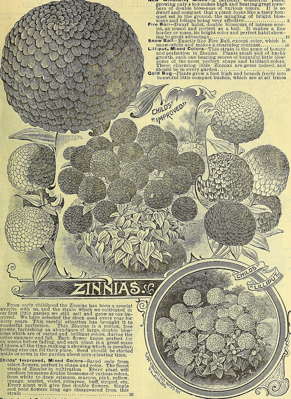Crinkle Ball Set