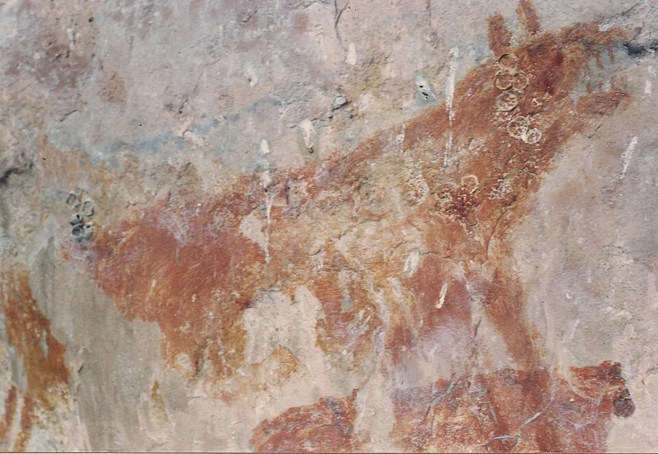 Chiribiquete Petroglyphs