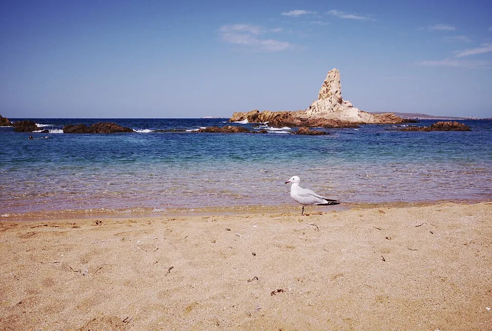 Cala Pregonda