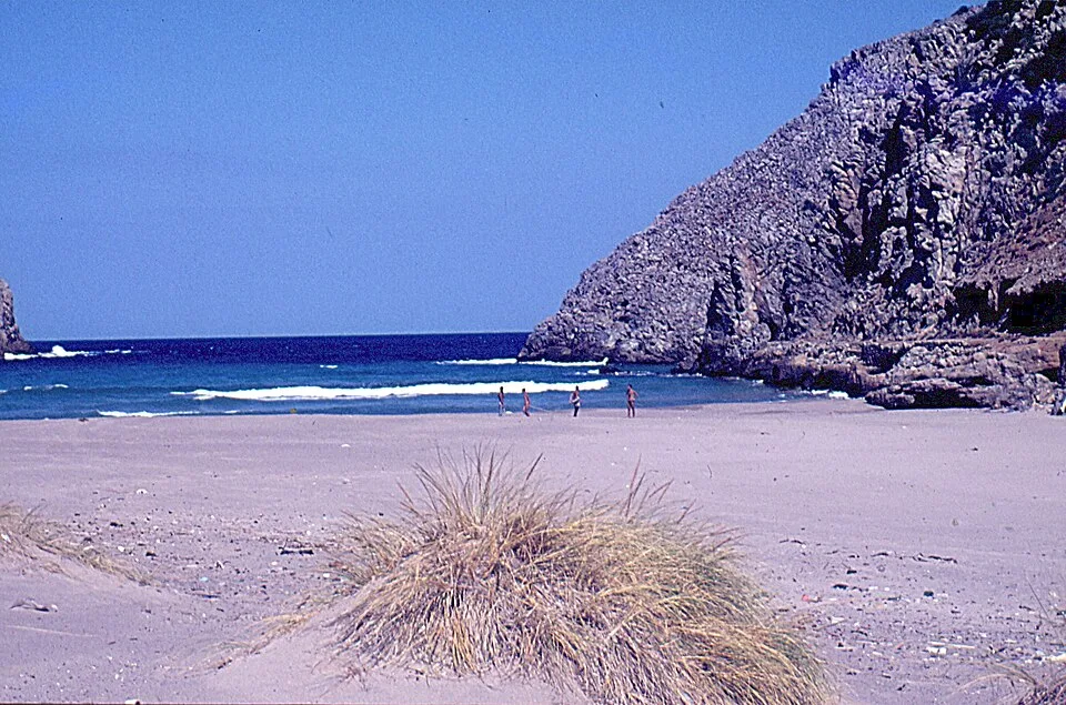 Cala Domestica