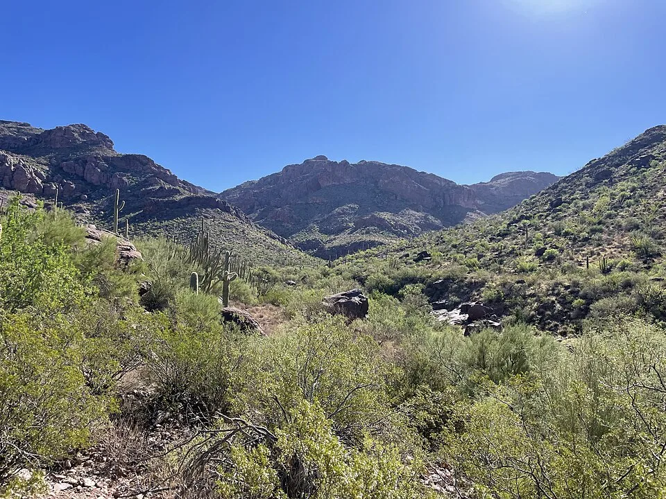 Cactus Canyon