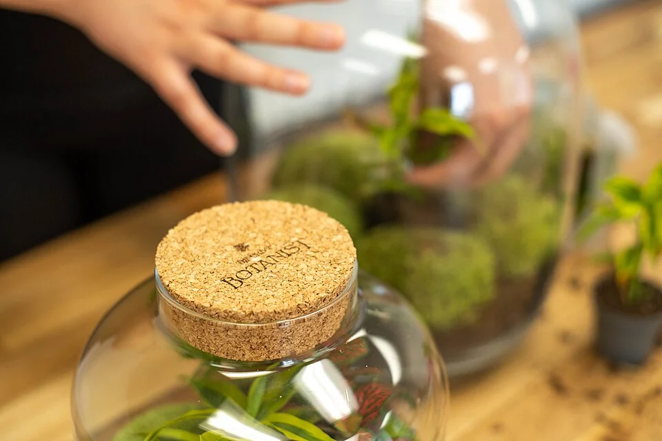 DIY Terrarium Ecosystem