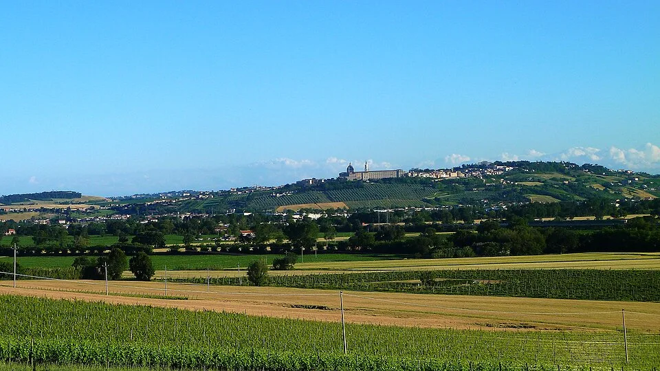 Dalla Valle Vineyards