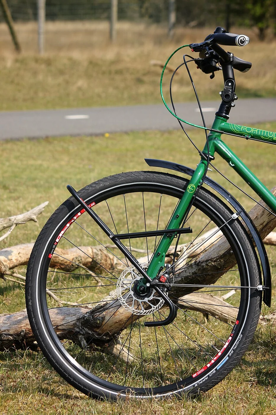 Ergon GP1 Grips