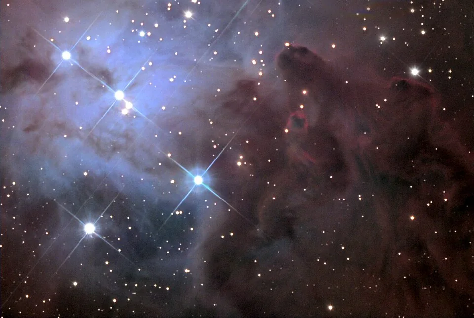 Fox Fur Nebula