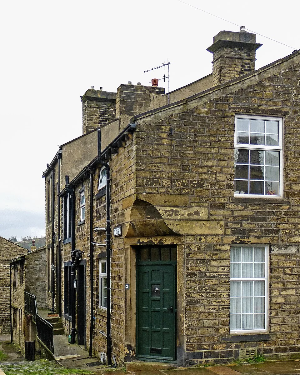 Haworth Fern