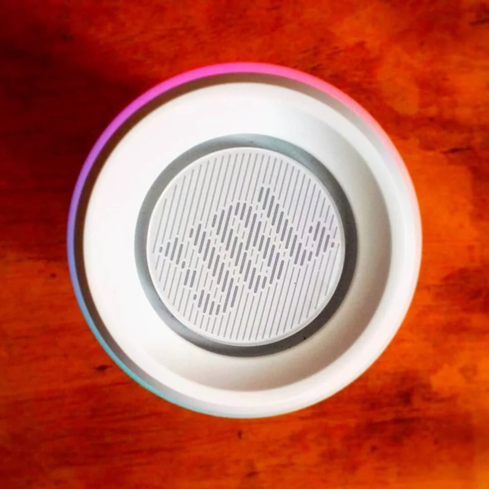 JBL Link View