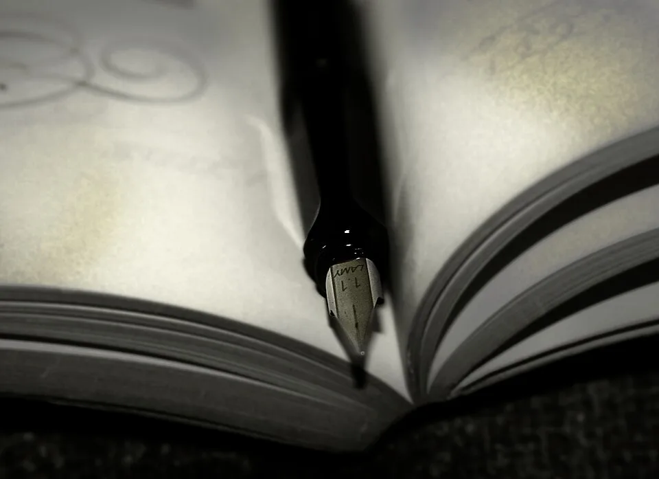 Lamy Joy