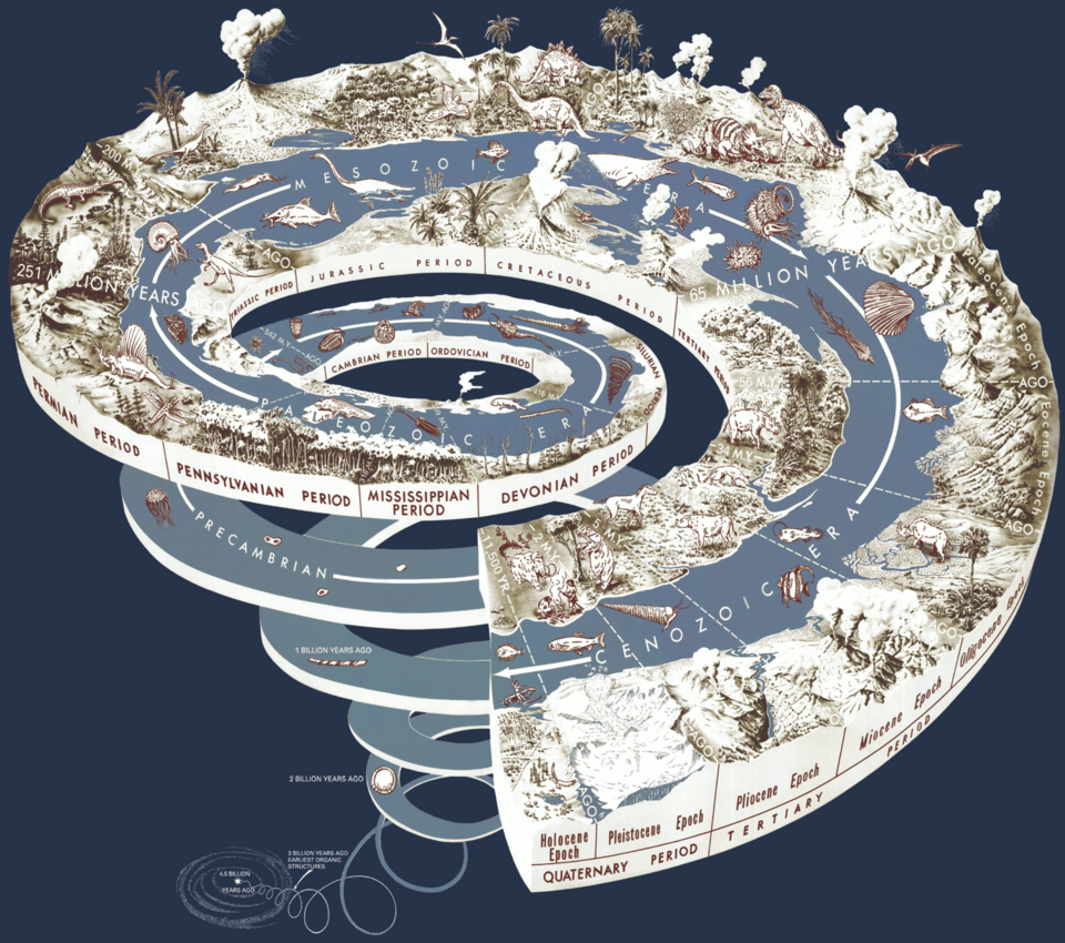 Manifold: Time