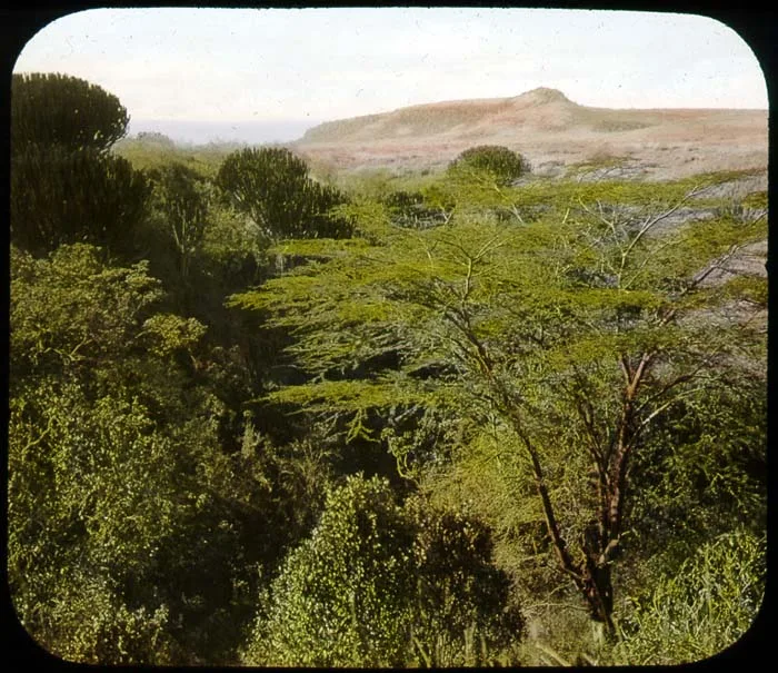 Mau Escarpment