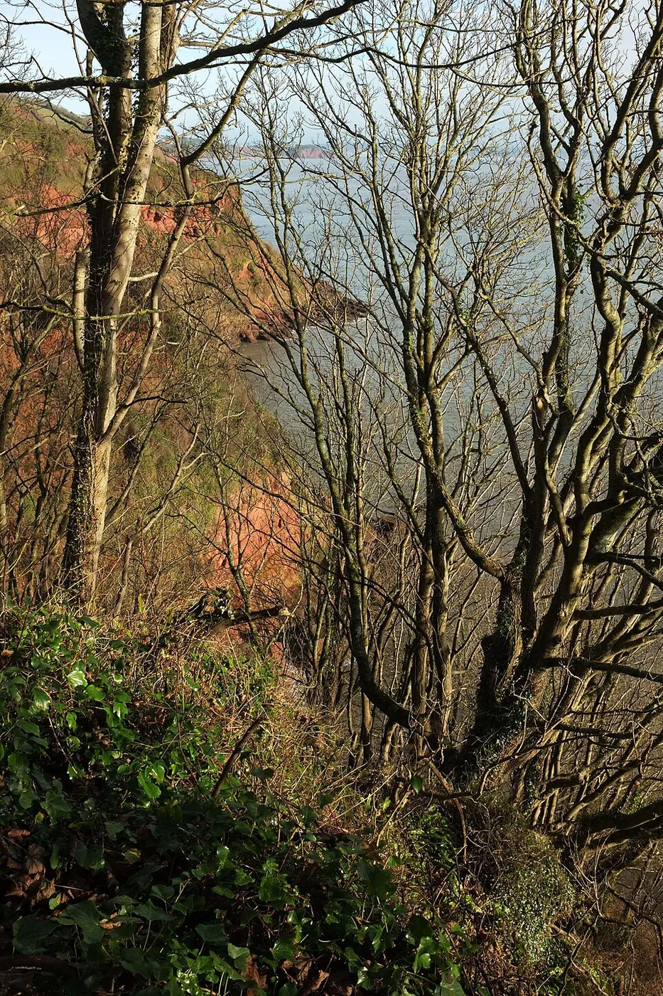 Maidencombe Cove