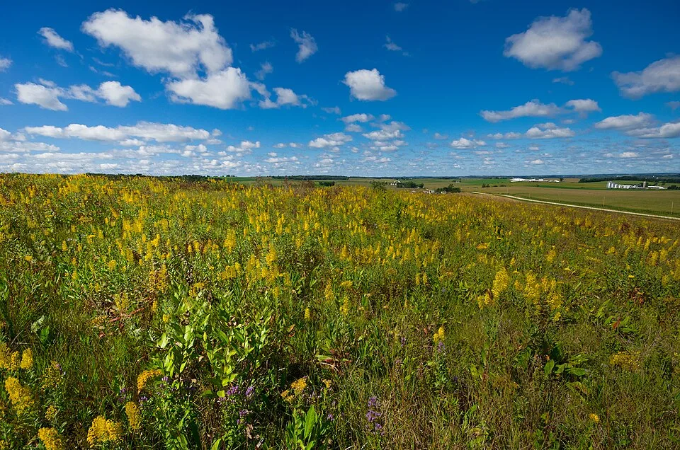 Muralt Bluff Prairie