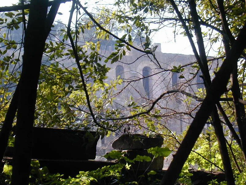 Palatino Nova