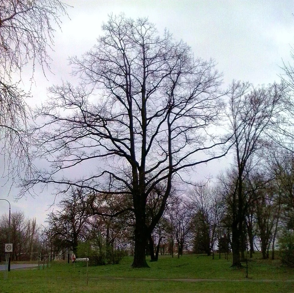 Poznań Citadel