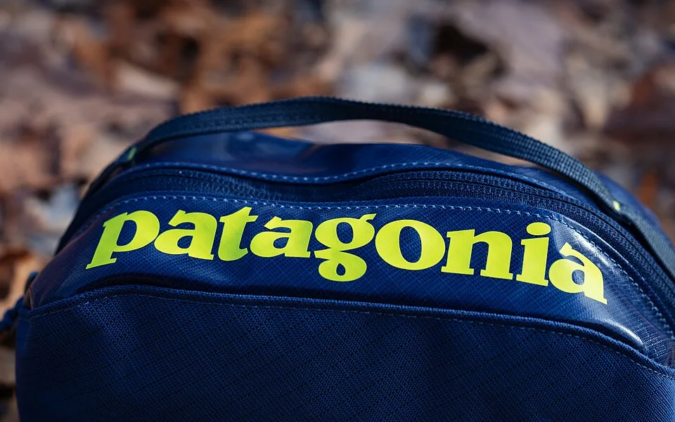 Patagonia Black Hole Cube