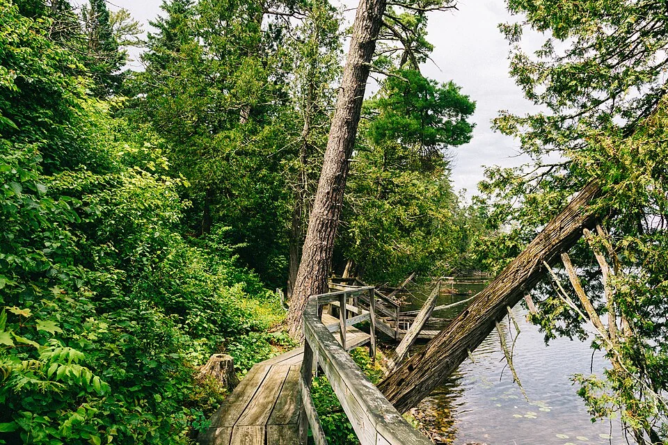 Scenic App