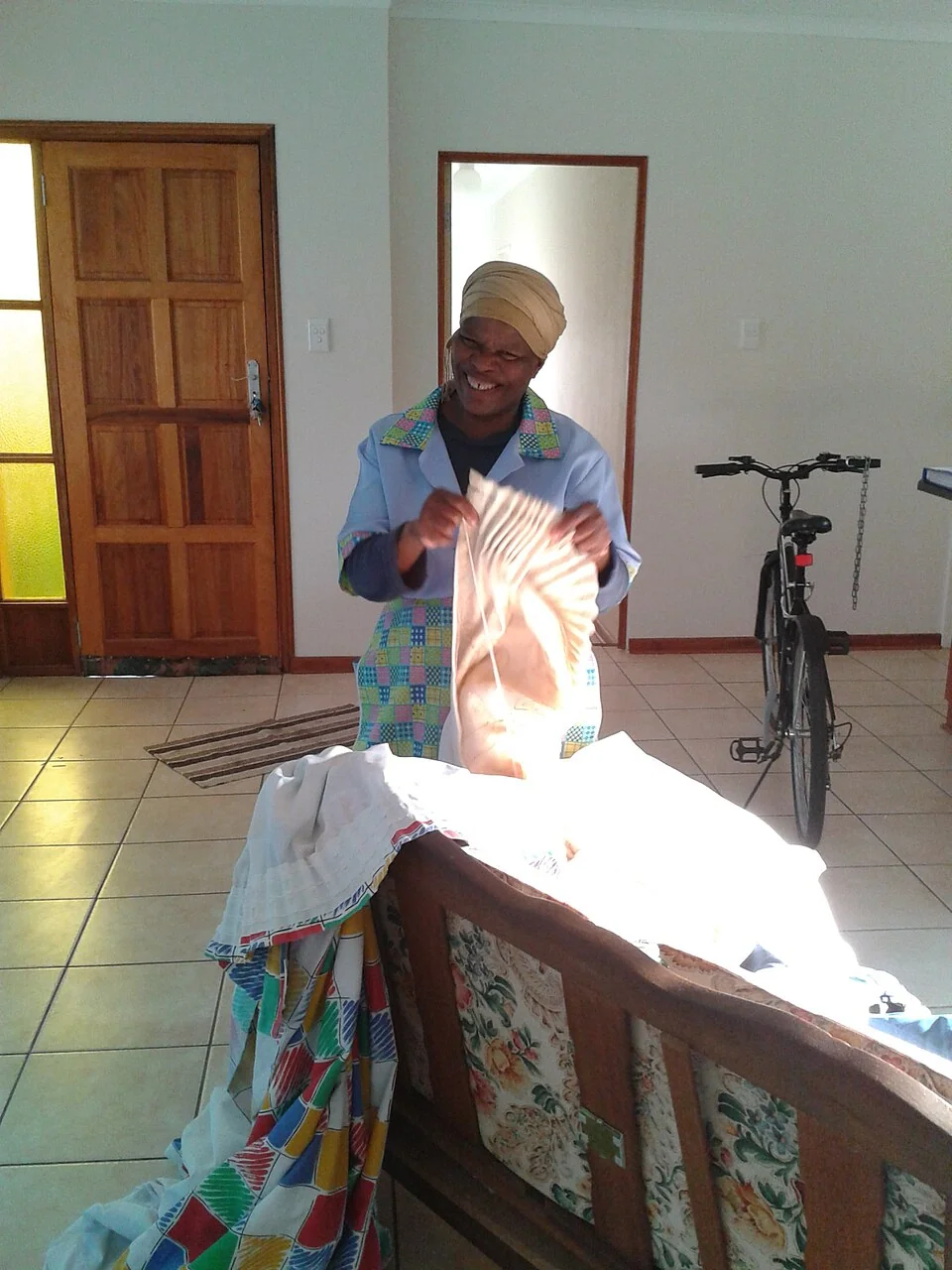 The Cleaning Lady