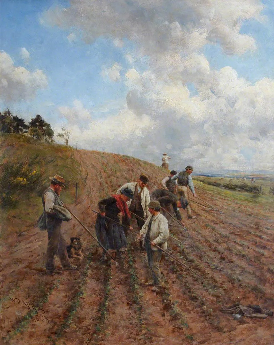 Taskmaster (Netherlands)
