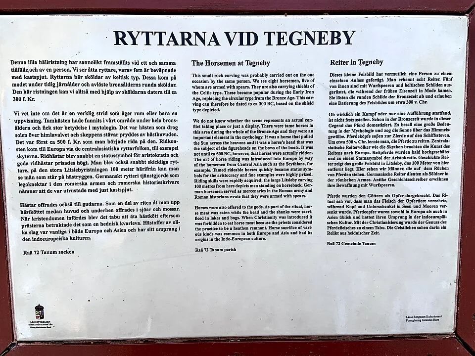 Tegneby Petroglyphs