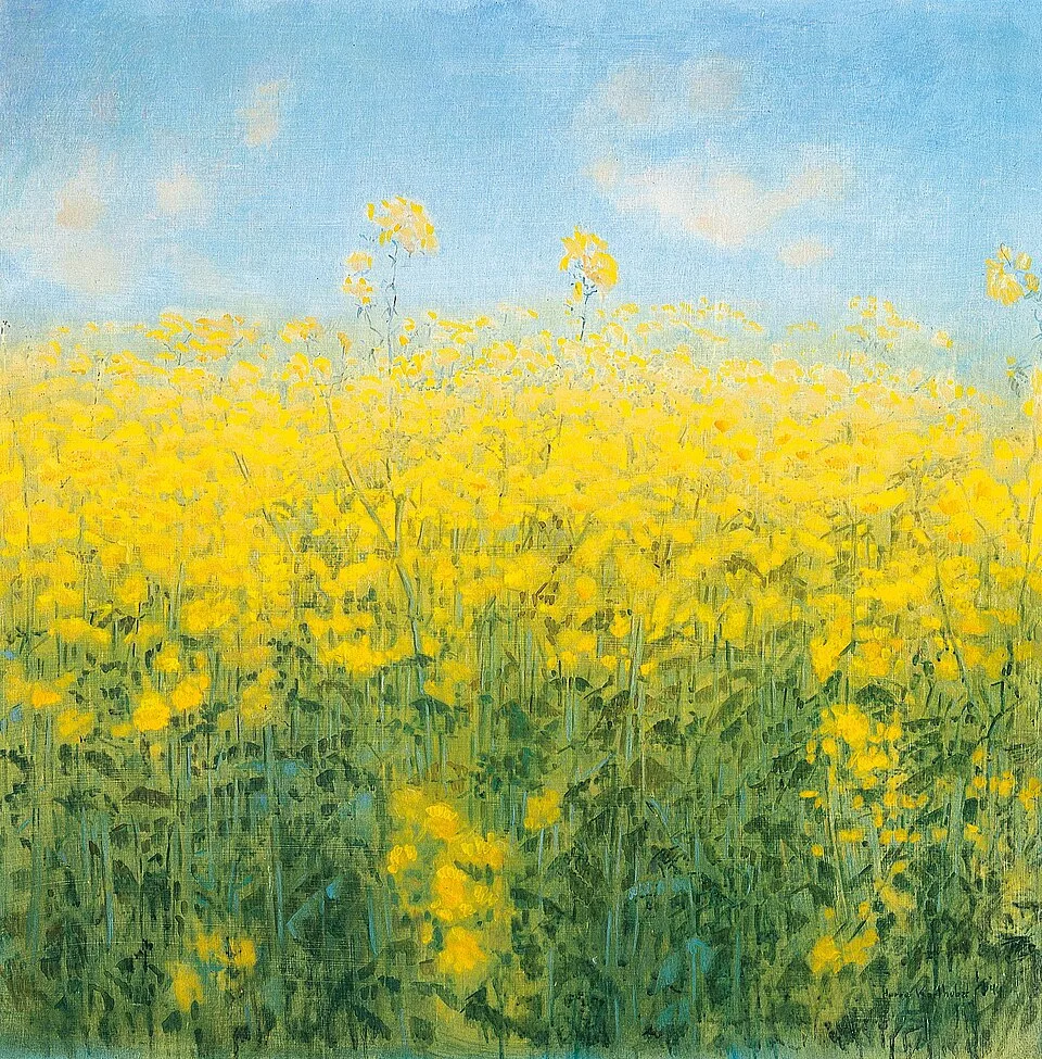 The Yellow Spur