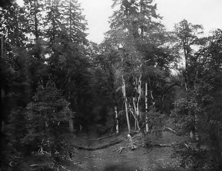 Tenalquot Prairie
