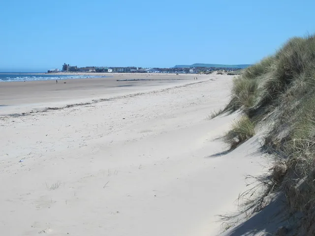 View with a Grain of Sand