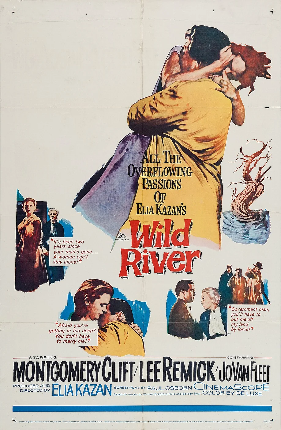 Wild River