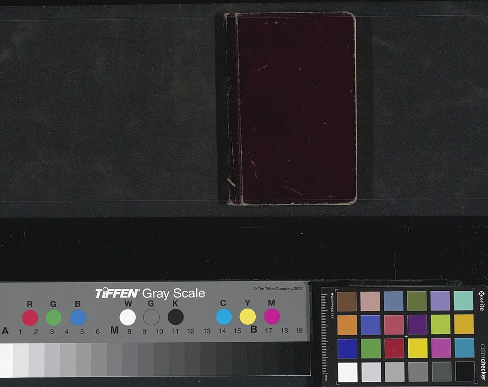 Winsor & Newton Drawing Ink