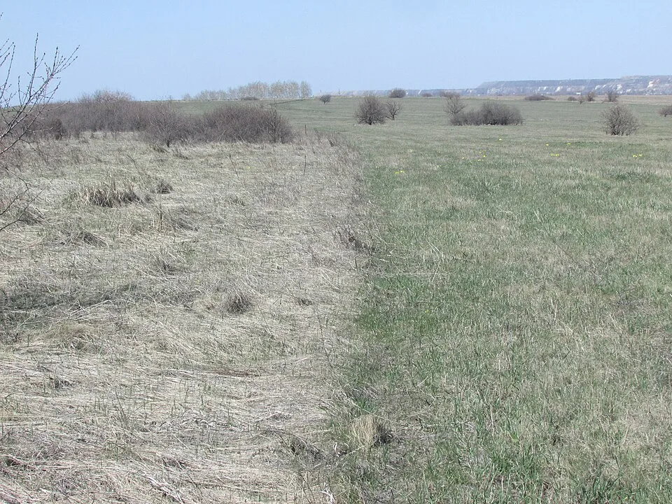 Yamskaya Steppe