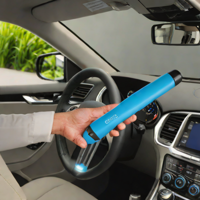 AutoClean Interior Sanitizing Wand