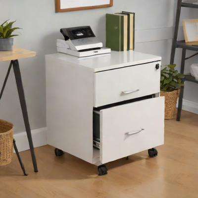 Amazon Basics 2-Drawer File