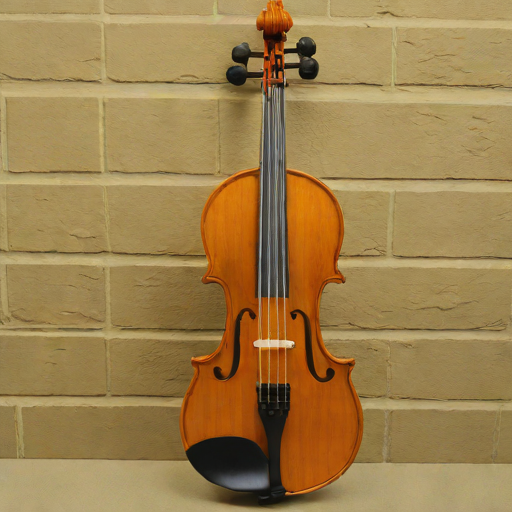 Ashbury SV100 Violin