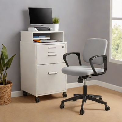 AmazonBasics 2-Drawer File Cabinet