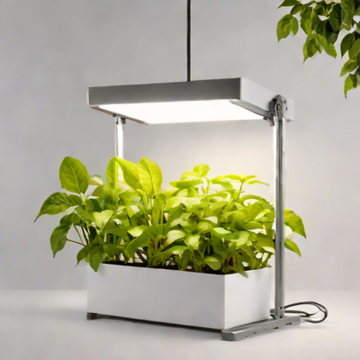 Aukora Grow Light