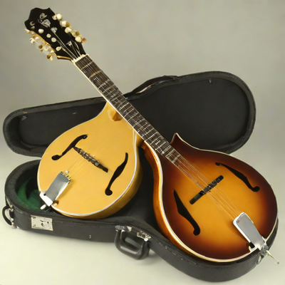 Ashaway A500 Mandolin