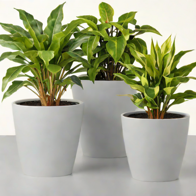 Amazon Basics Plastic Plant Pots