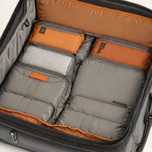 Briggs & Riley Packing Cube
