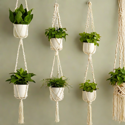 BlissLiving Macrame Plant Hangers (4 Pack)