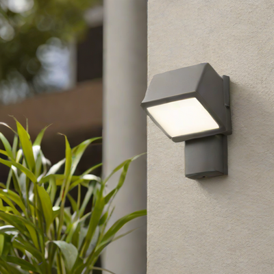 Capacitor Outdoor Motion Sensor Light
