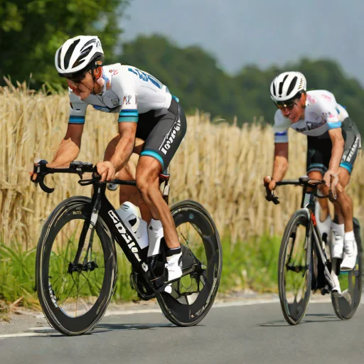 Duo Normand