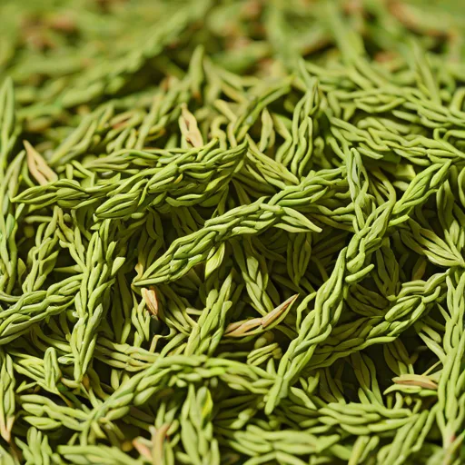 Dried Hyssop
