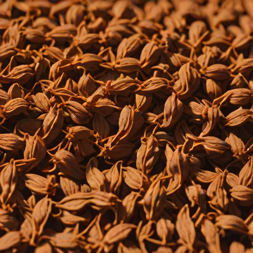 Dried Akudjura (Bush Tomato)