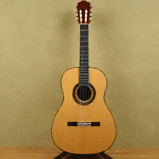 Francisco Salinas 120 Classical Guitar