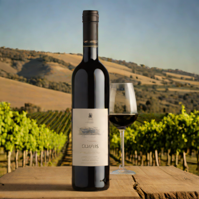 Henschke Hill of Grace Shiraz