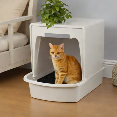 IRIS Open Top Cat Litter Box with Shield