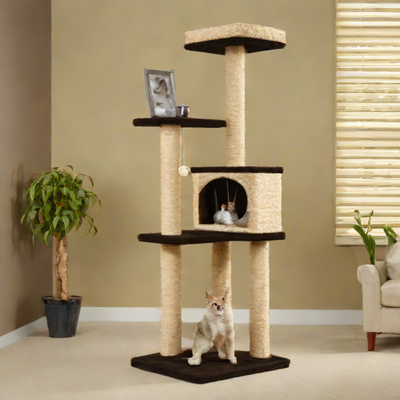 Lazy Cat Tree