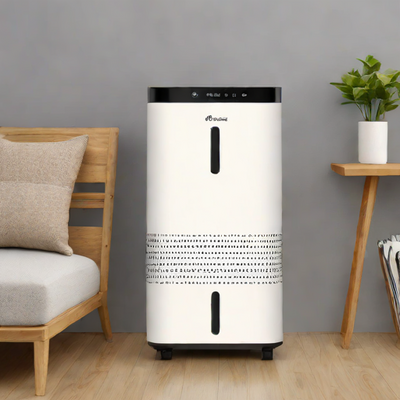 Midea 10-Pint Dehumidifier